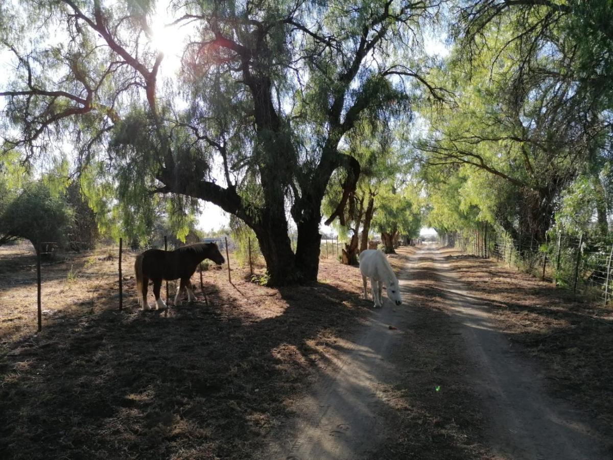Doornfontein Guest Farm Hotell Cradock Eksteriør bilde
